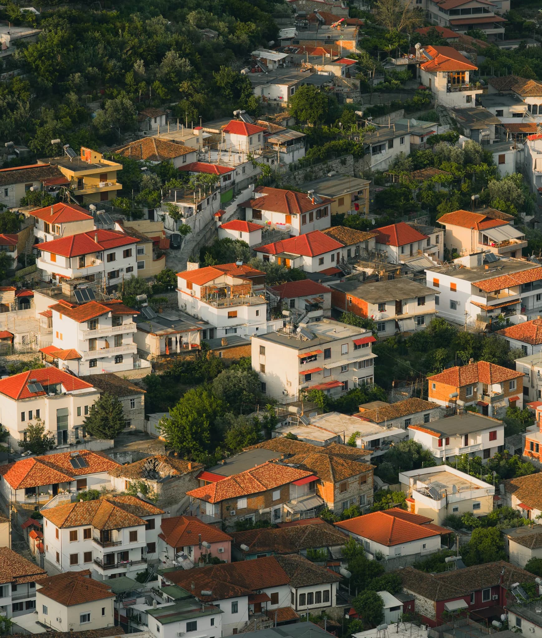 Red rooftops