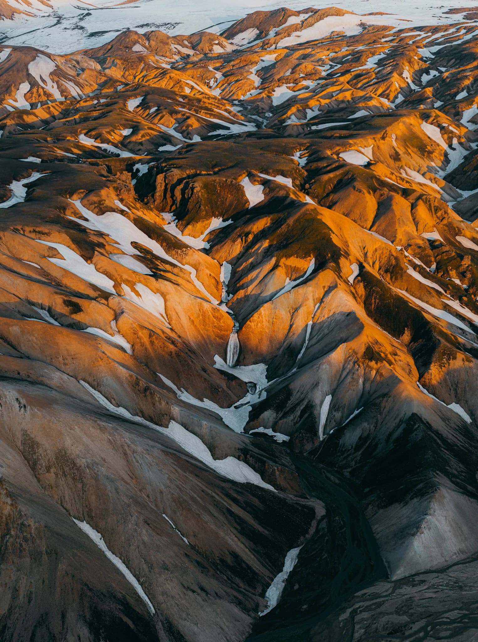 Painted by winter