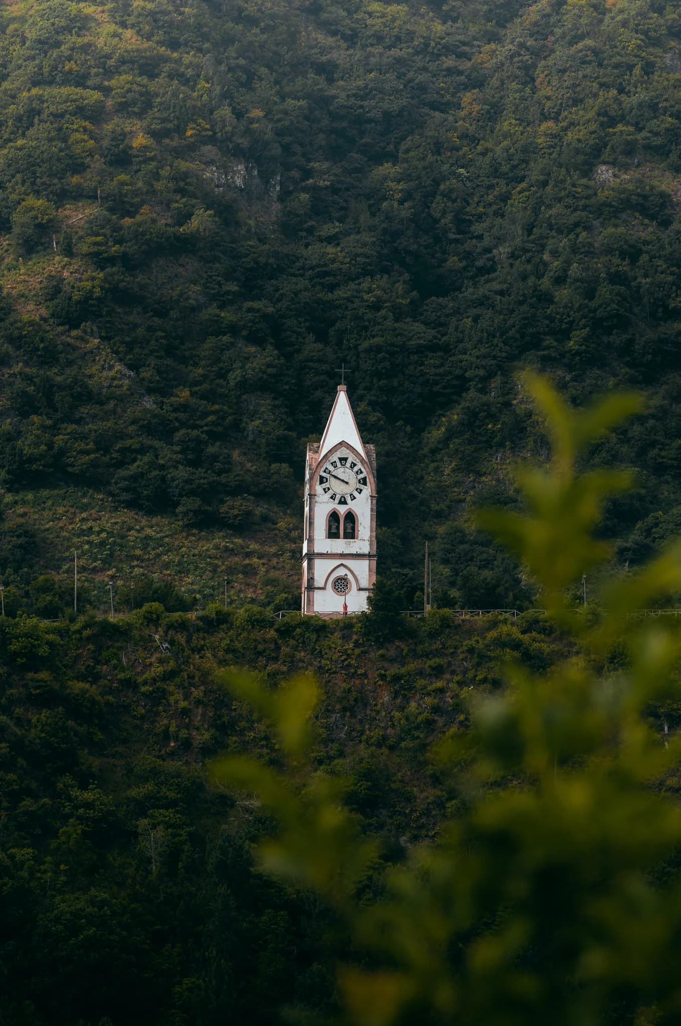 A tower in the green