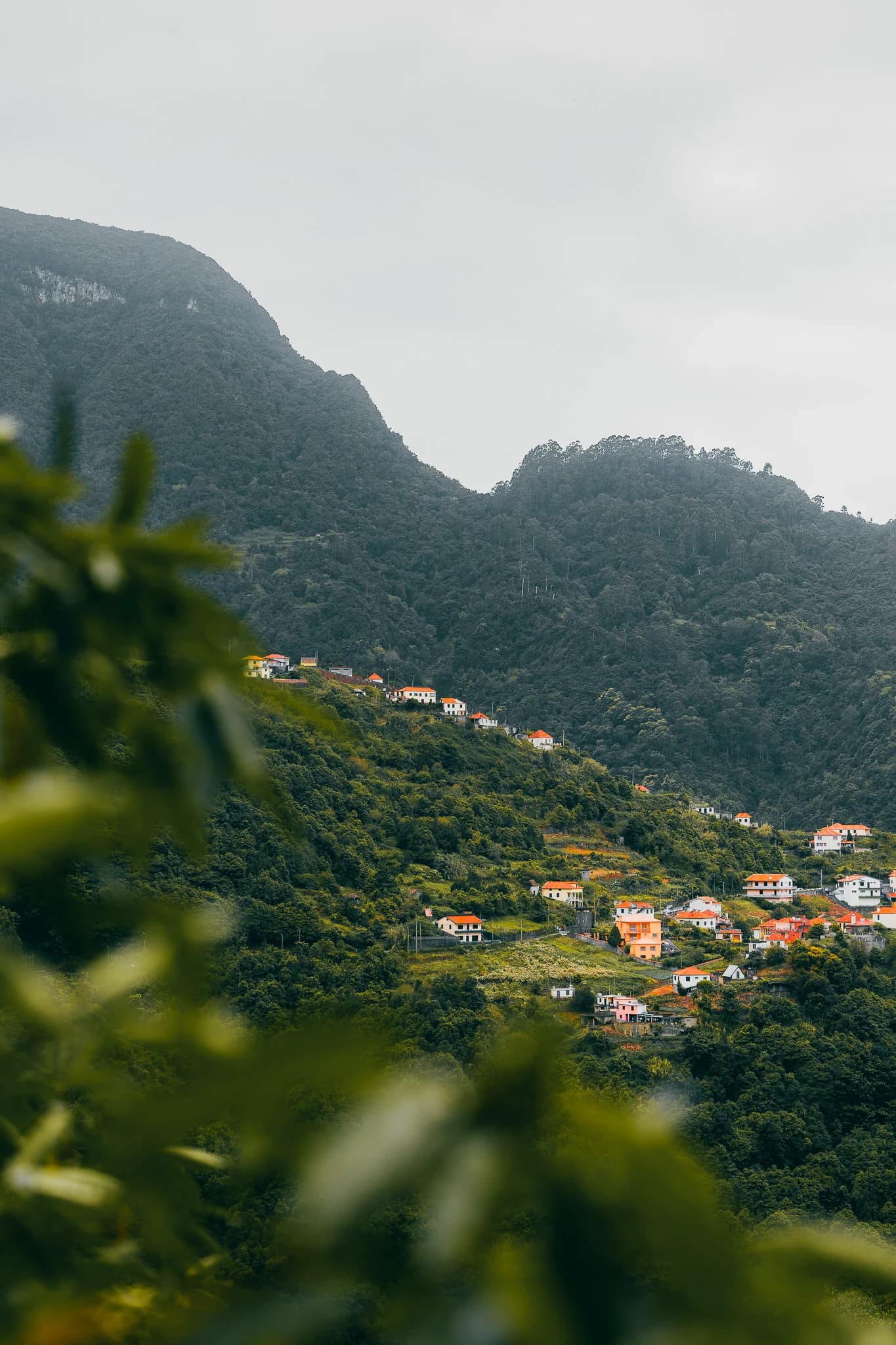 Homes below the ridge