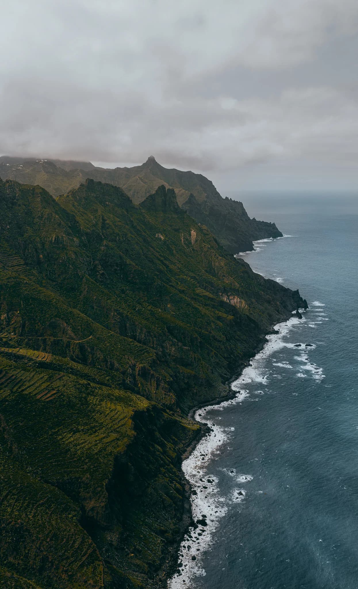 The wild coast